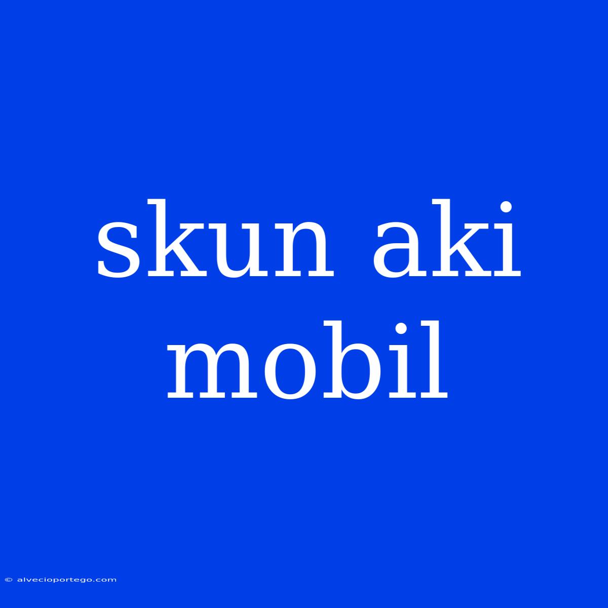 Skun Aki Mobil