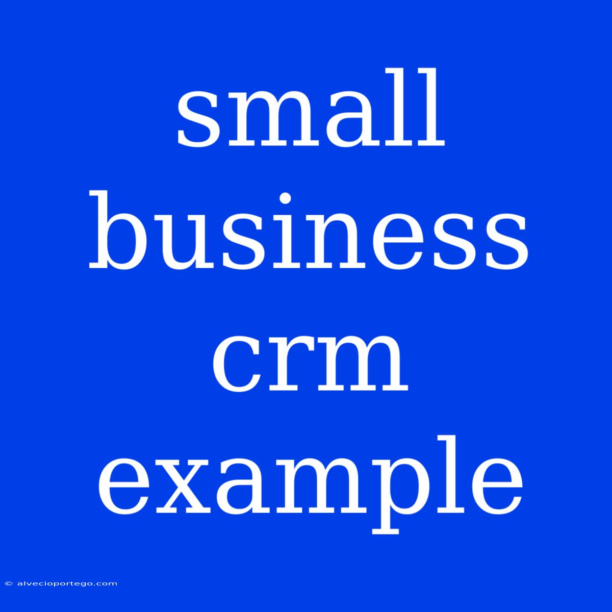 Small Business Crm Example