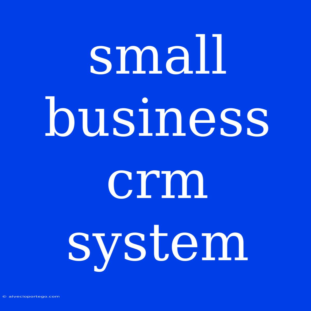 Small Business Crm System