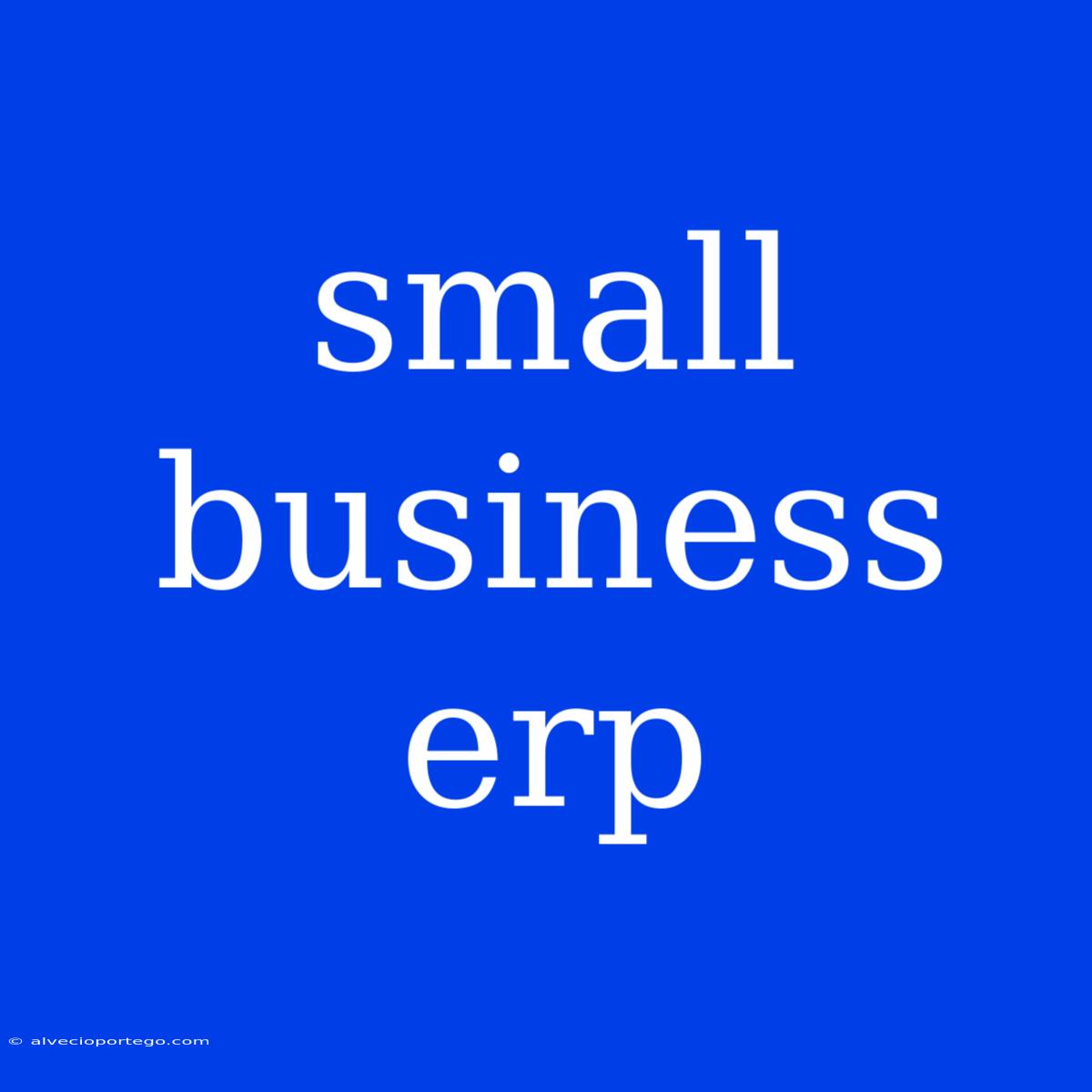 Small Business Erp