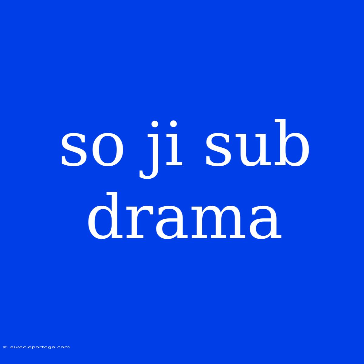 So Ji Sub Drama