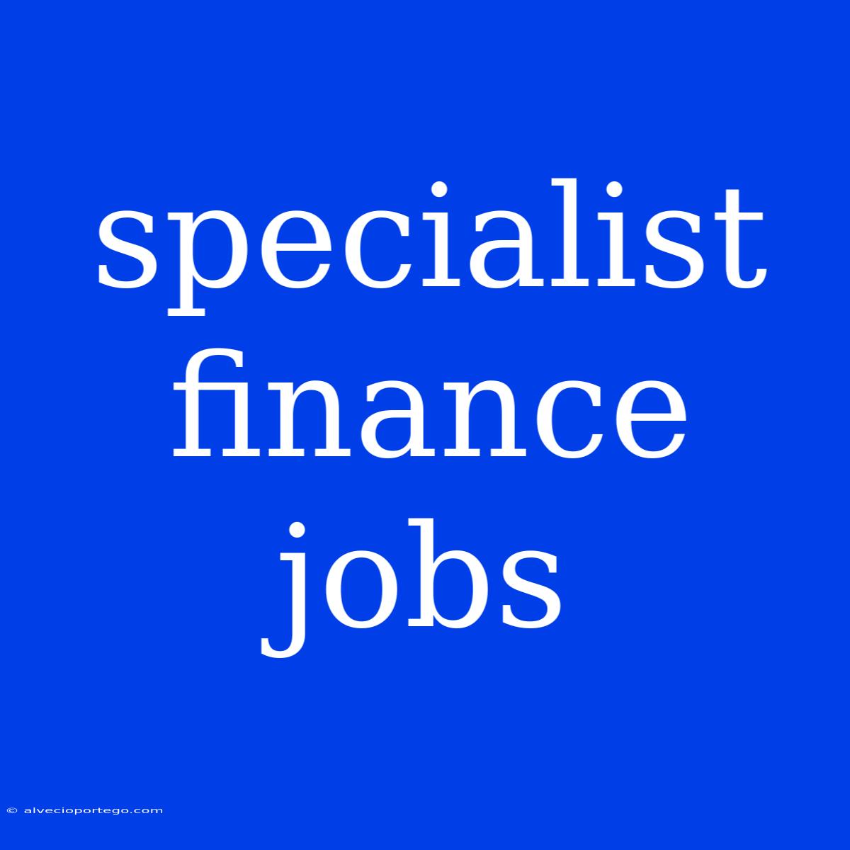 Specialist Finance Jobs