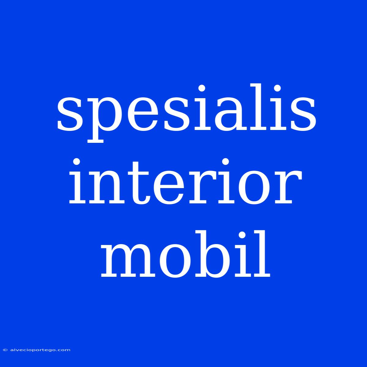 Spesialis Interior Mobil