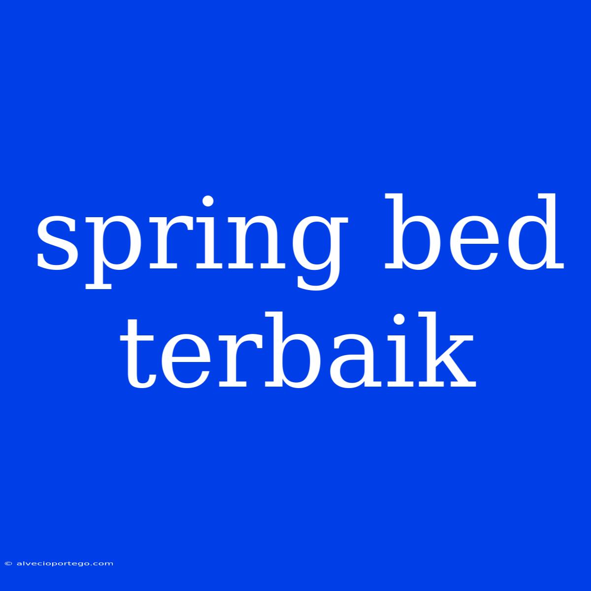 Spring Bed Terbaik