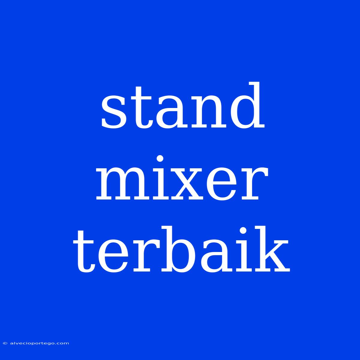 Stand Mixer Terbaik