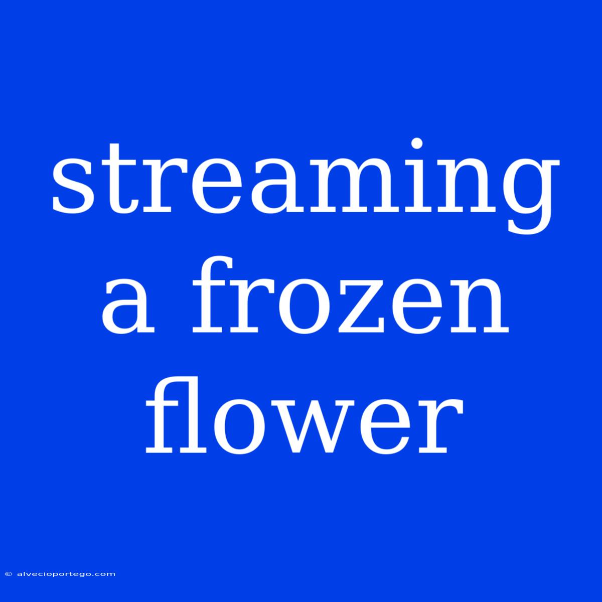 Streaming A Frozen Flower