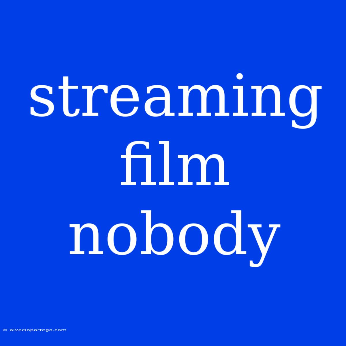 Streaming Film Nobody