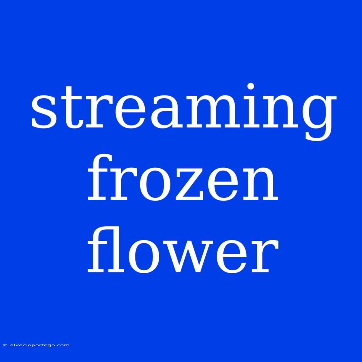 Streaming Frozen Flower