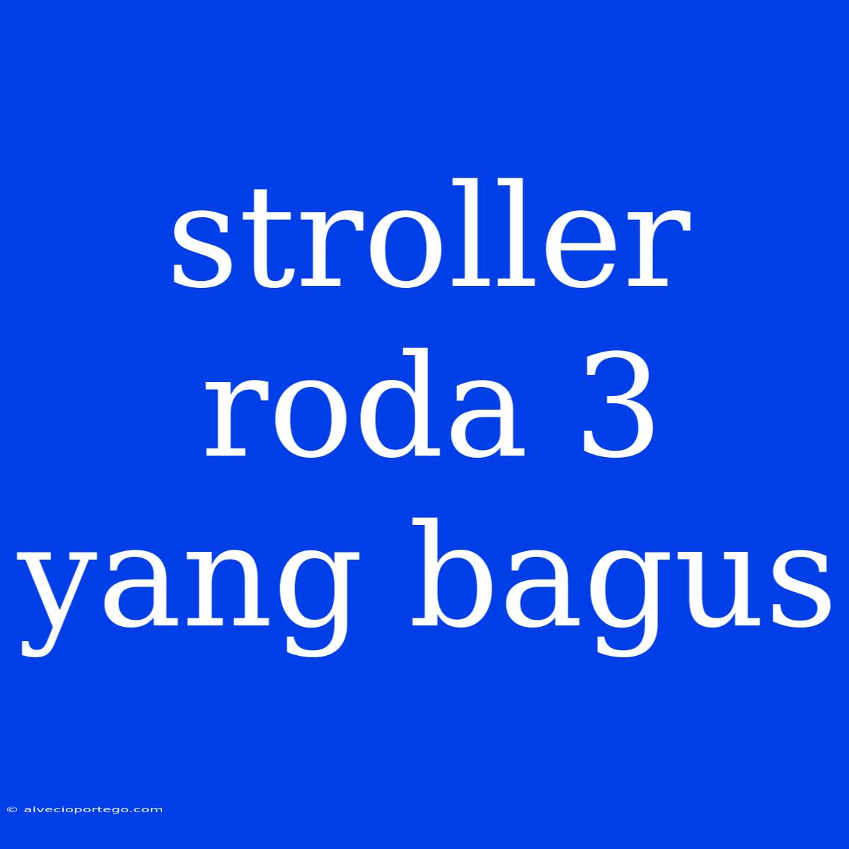 Stroller Roda 3 Yang Bagus