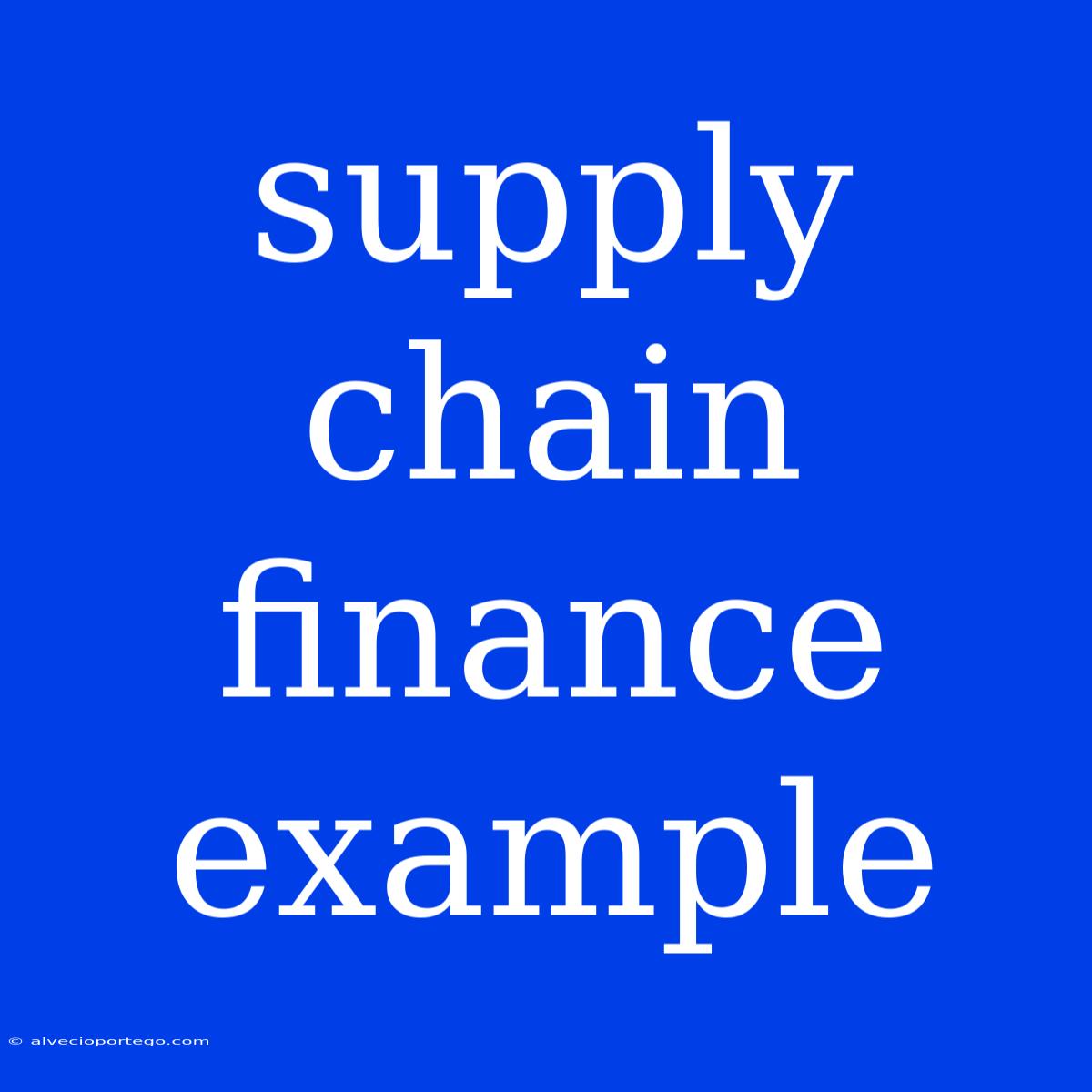 Supply Chain Finance Example