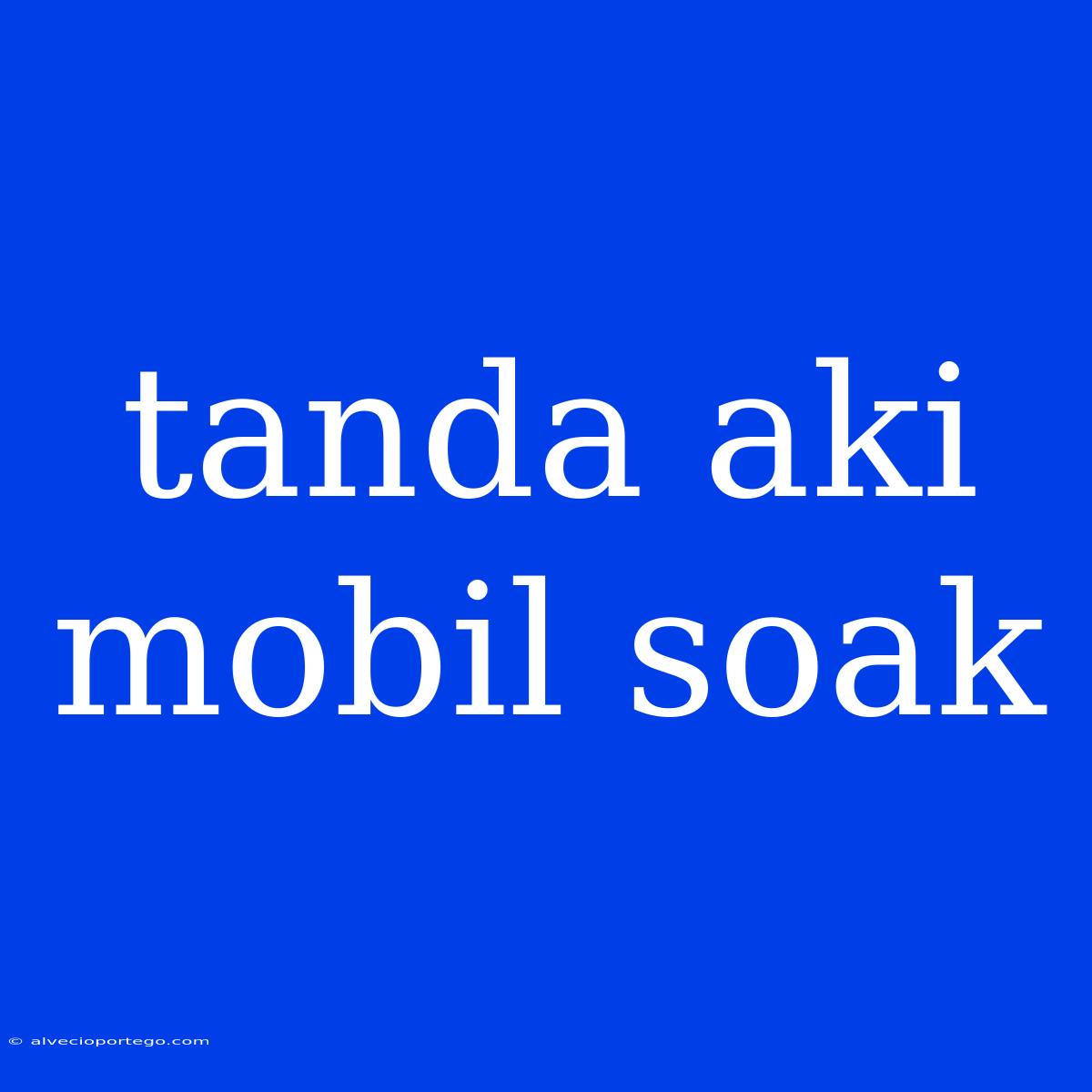 Tanda Aki Mobil Soak