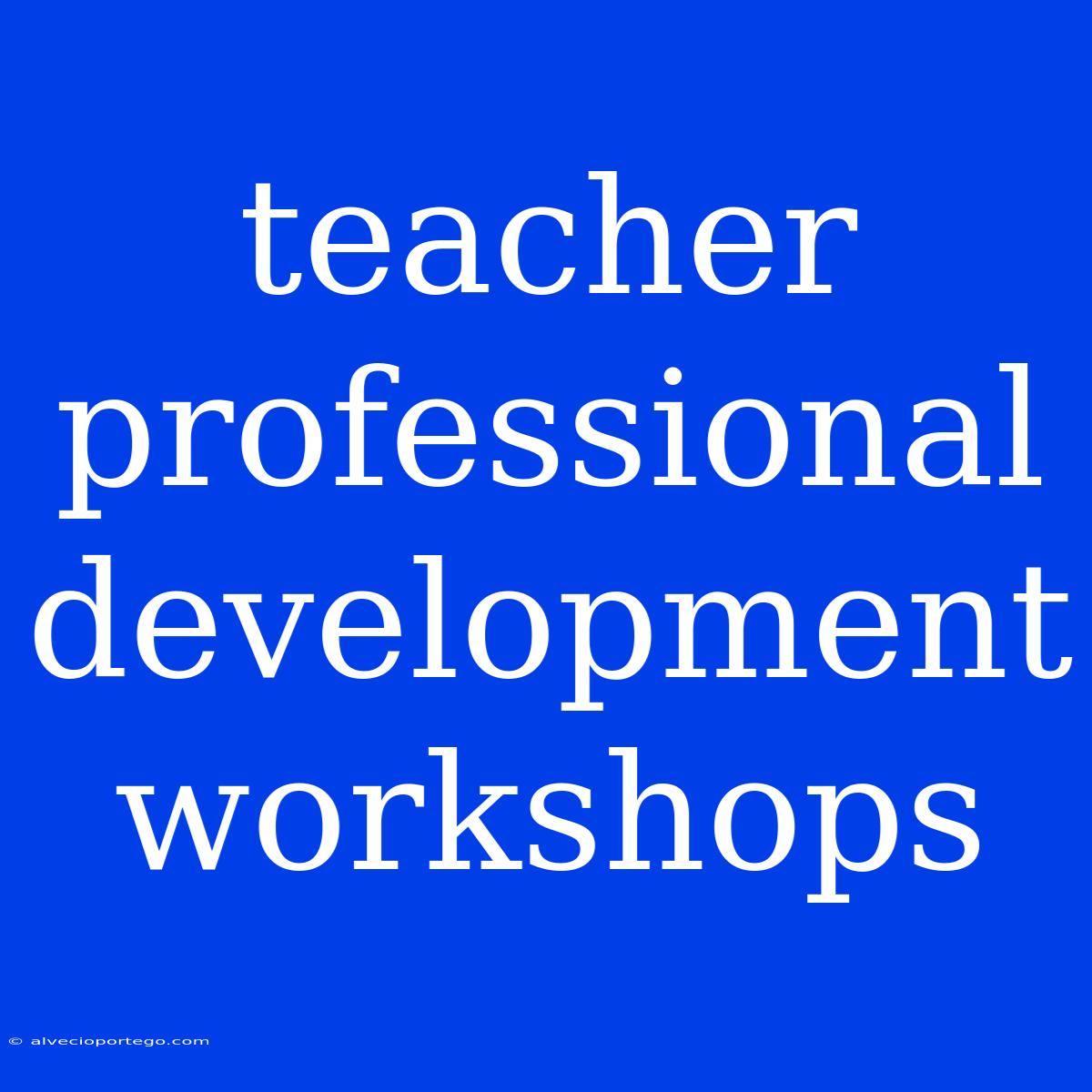 Teacher Professional Development Workshops