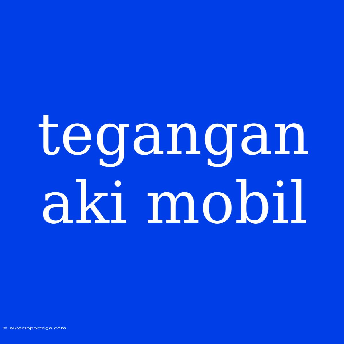 Tegangan Aki Mobil