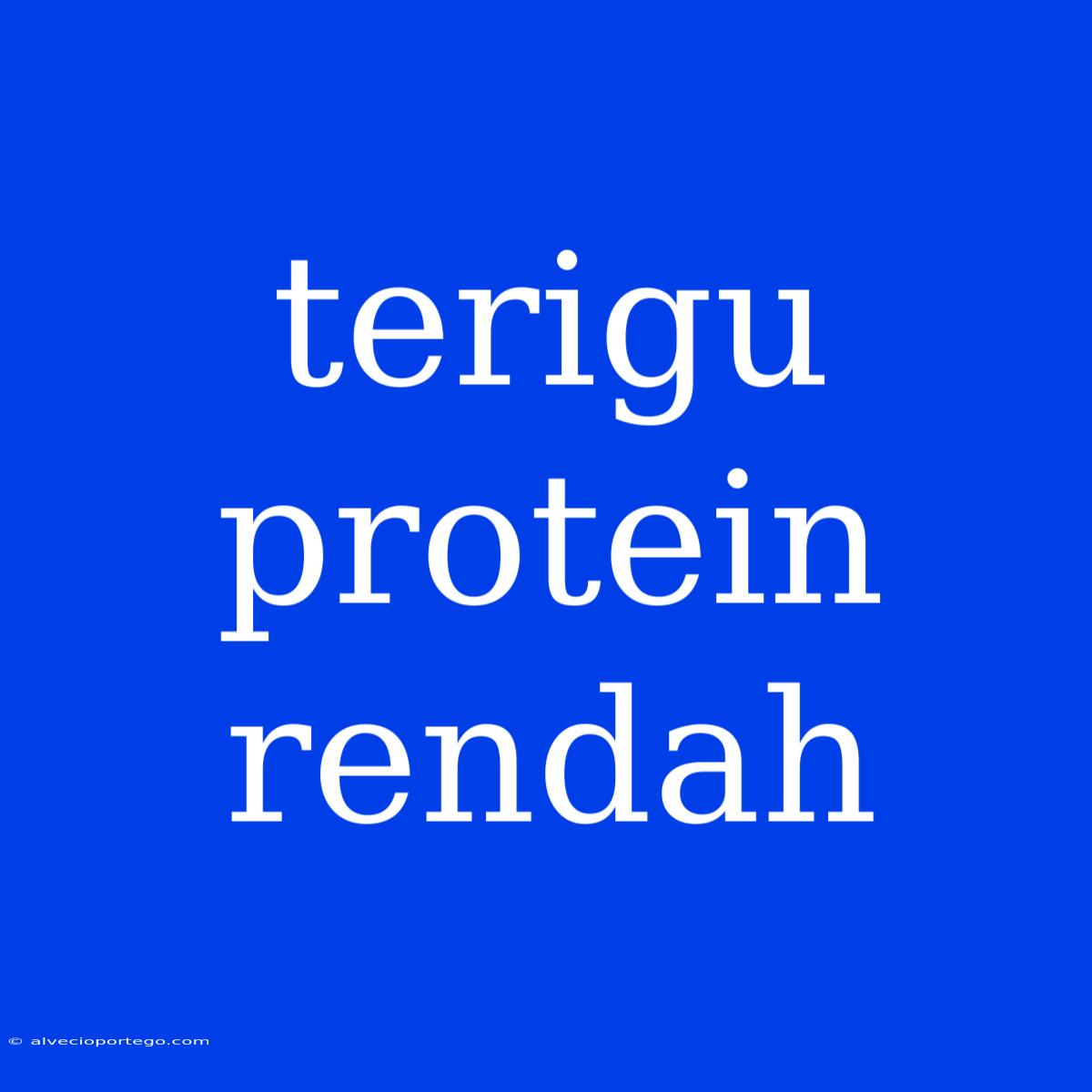 Terigu Protein Rendah