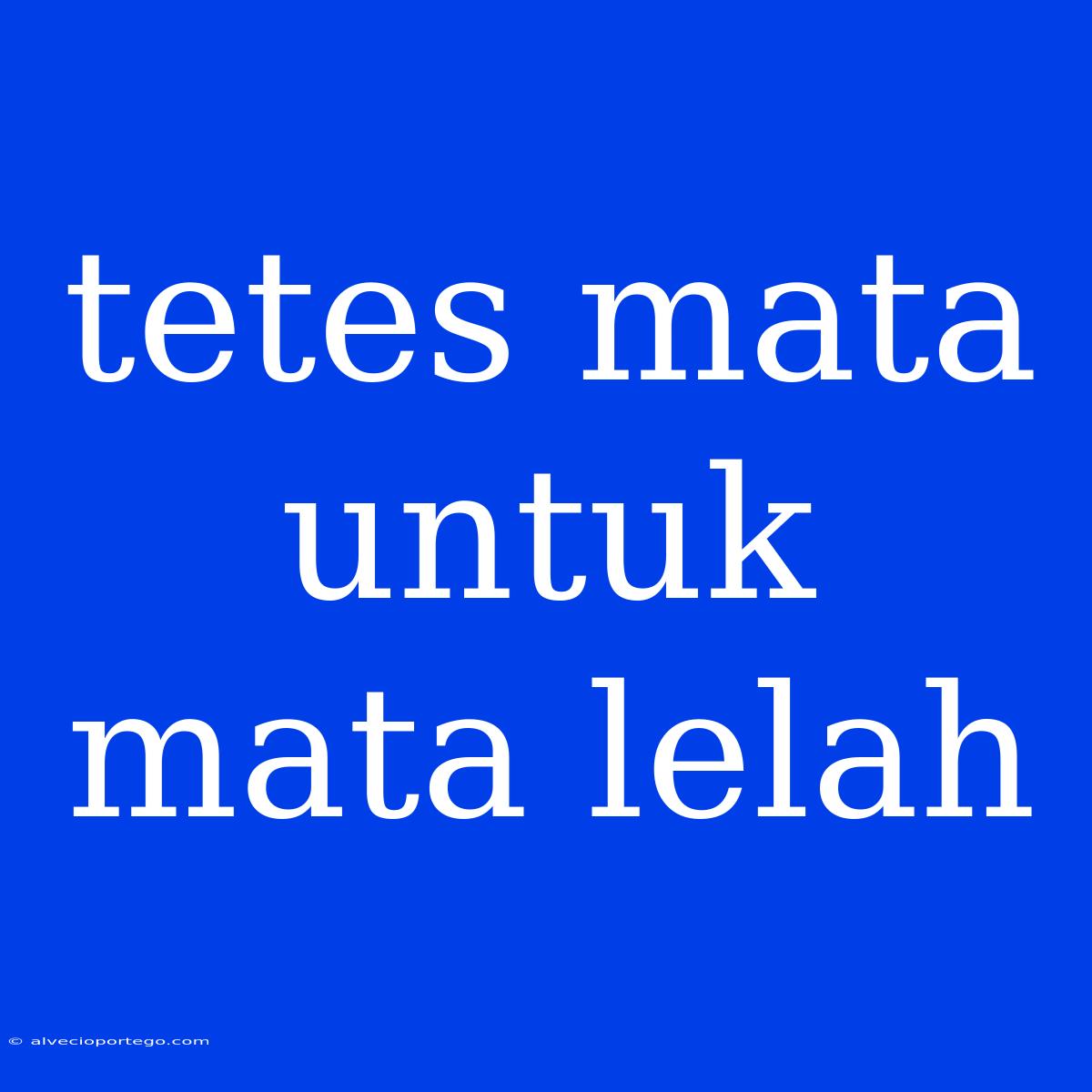 Tetes Mata Untuk Mata Lelah