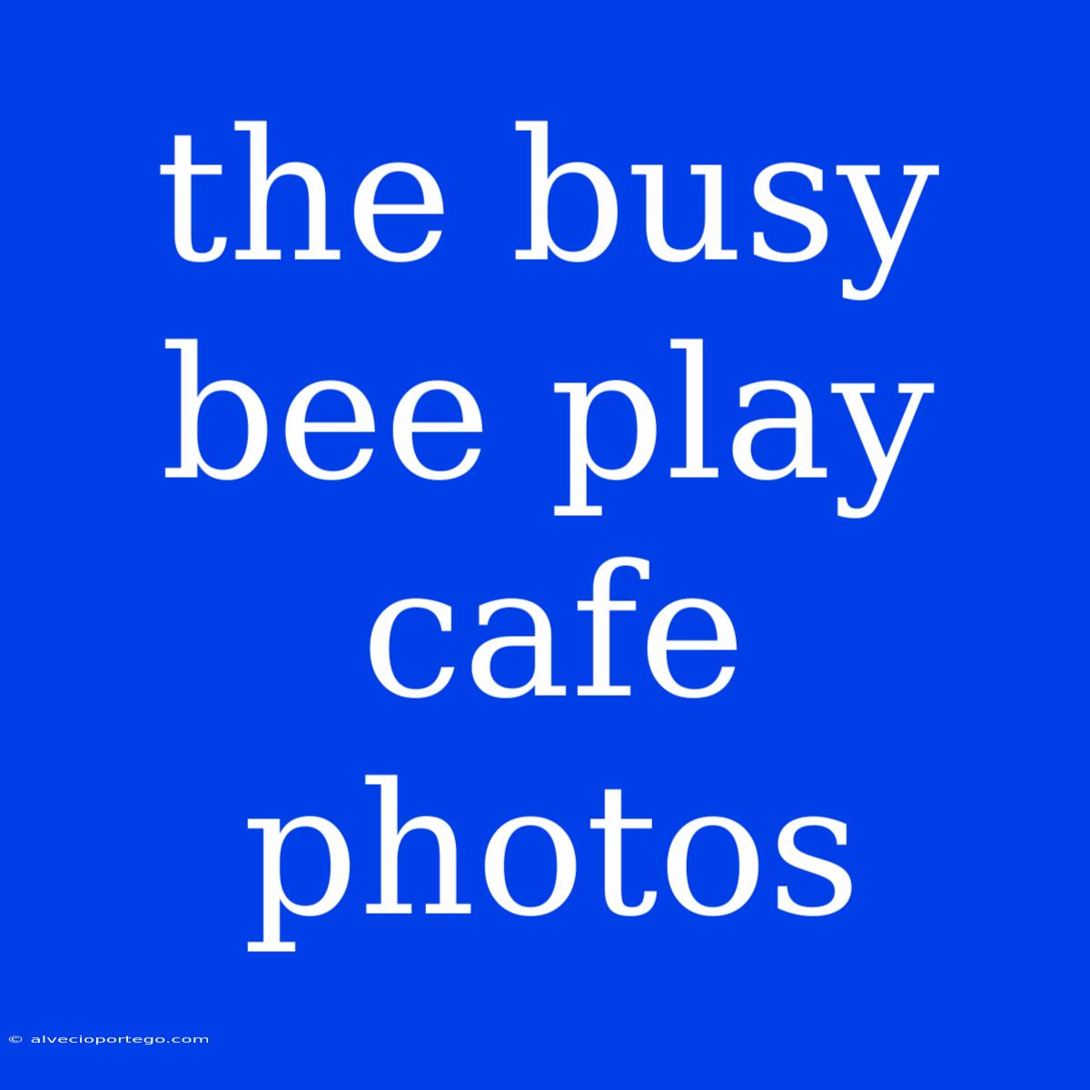 The Busy Bee Play Cafe Photos