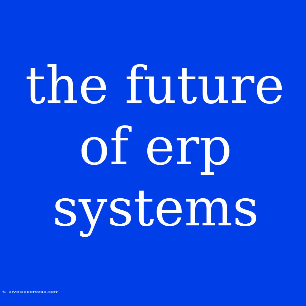 The Future Of Erp Systems