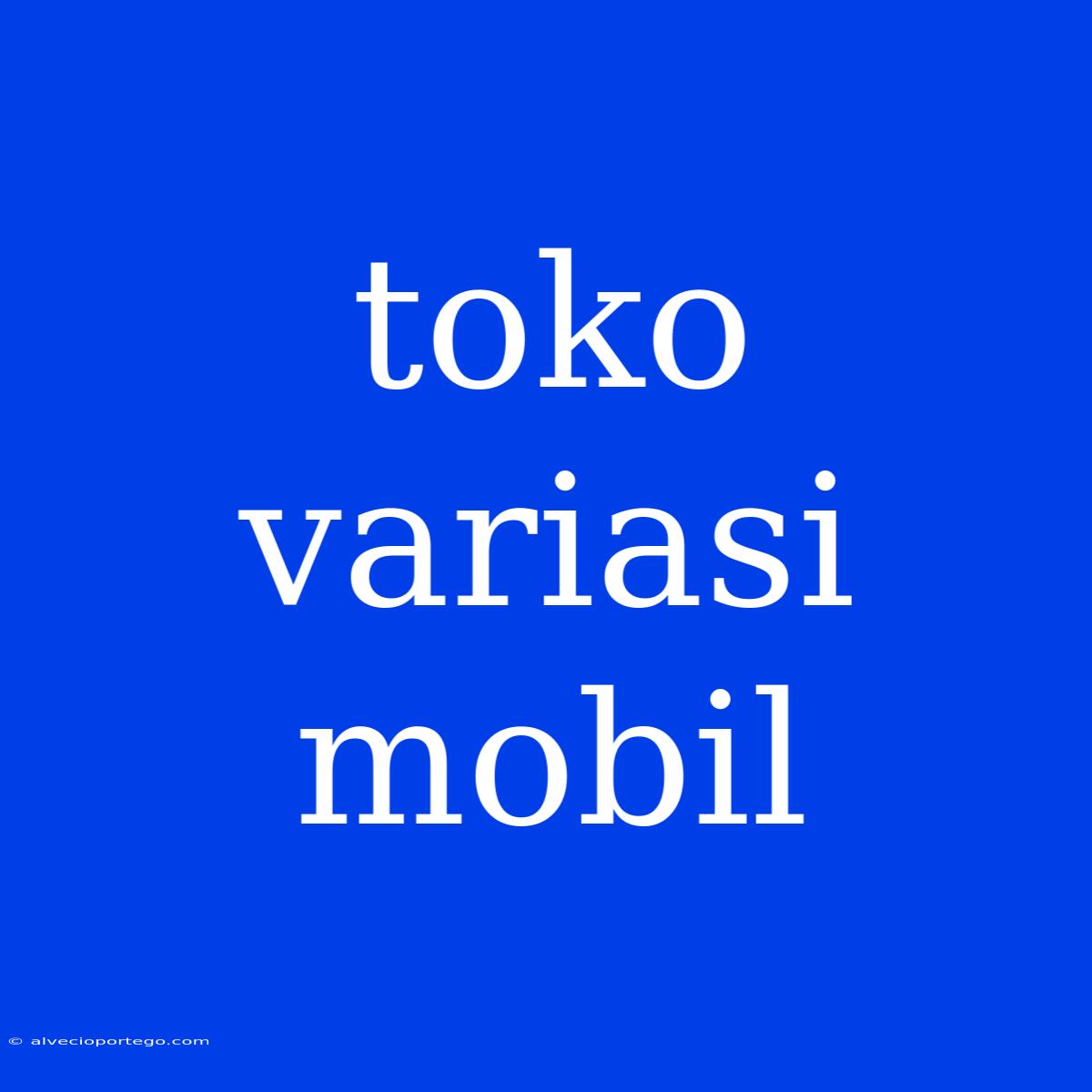 Toko Variasi Mobil