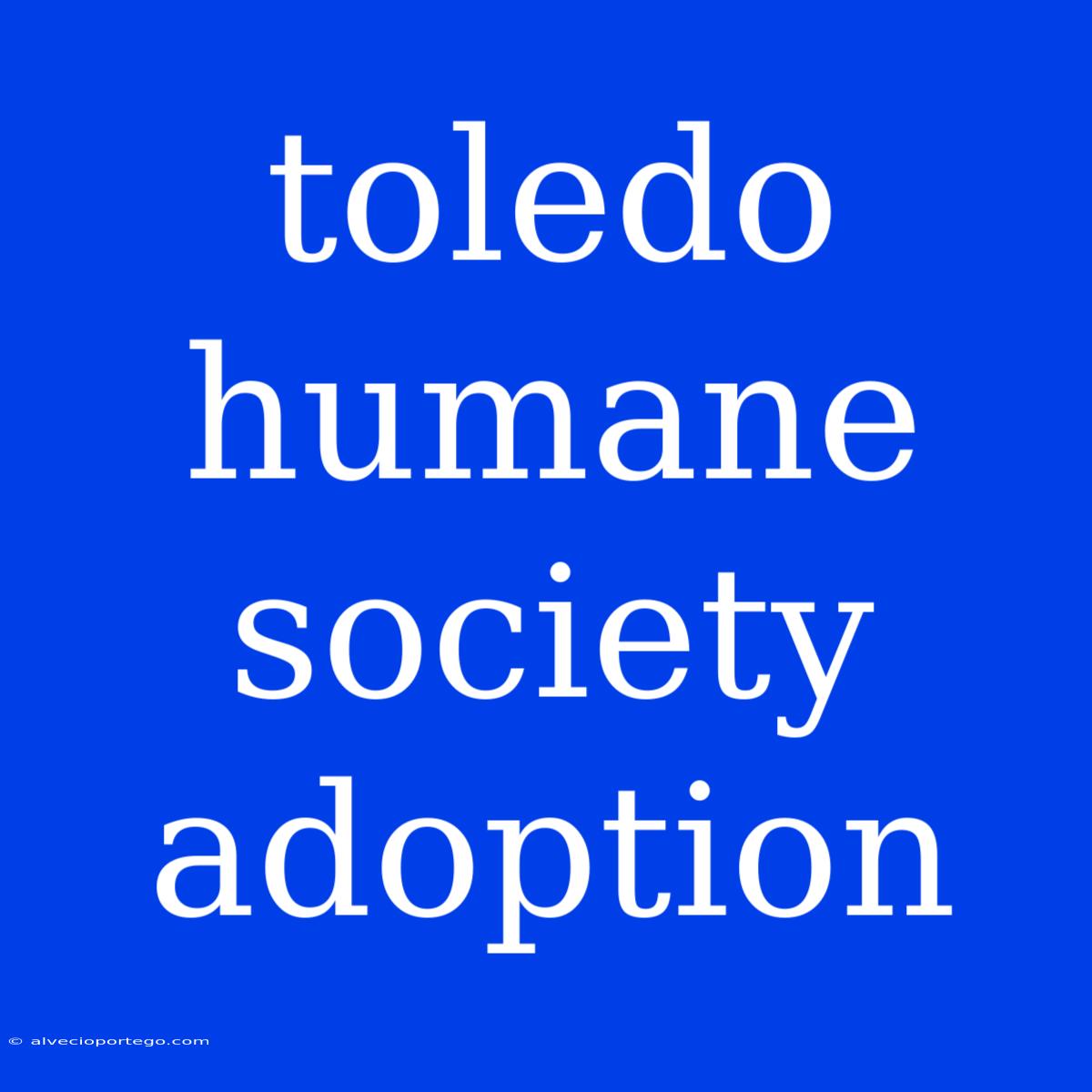 Toledo Humane Society Adoption