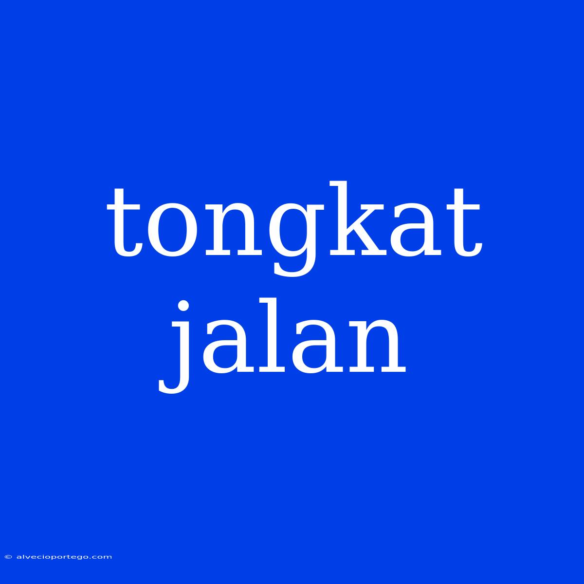 Tongkat Jalan