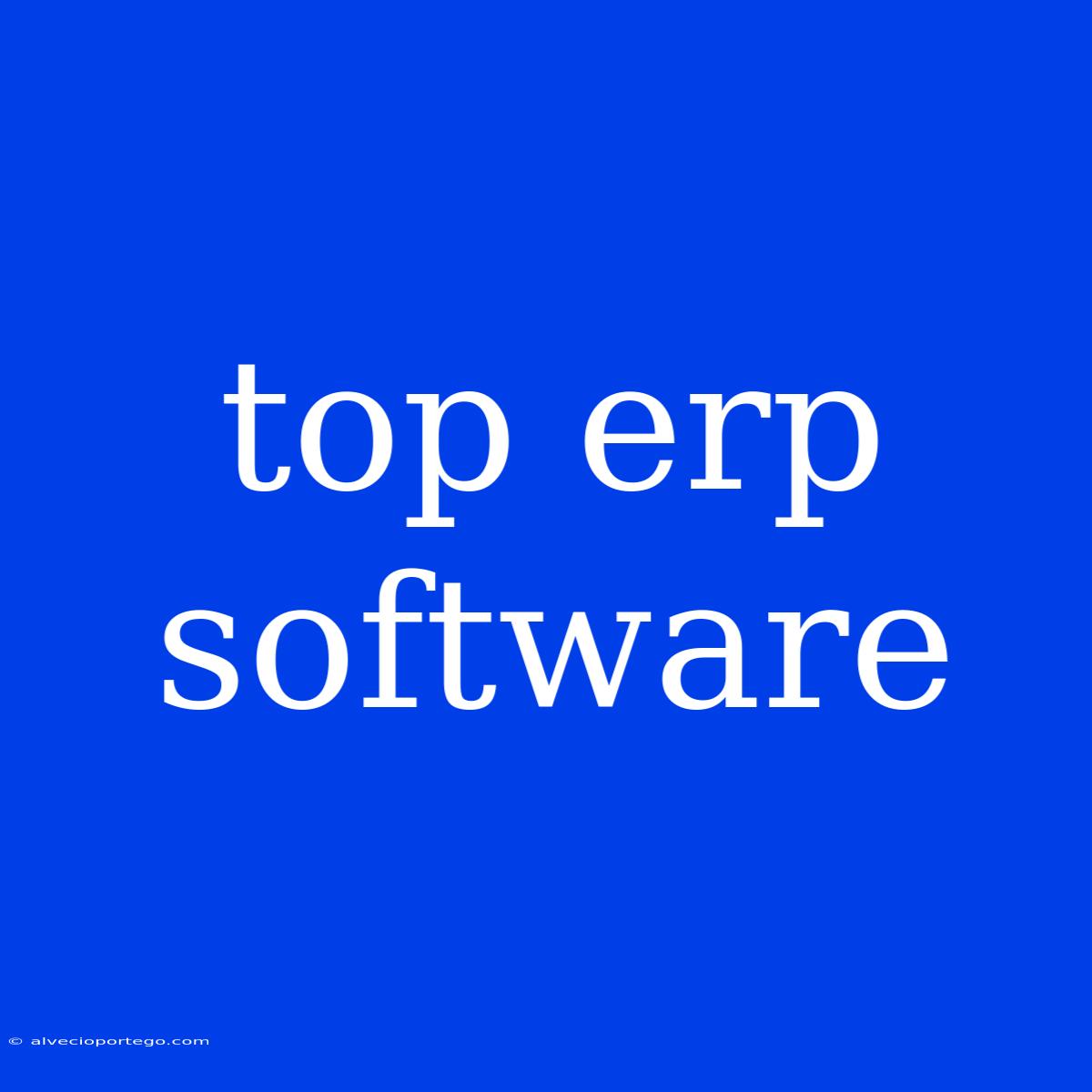 Top Erp Software