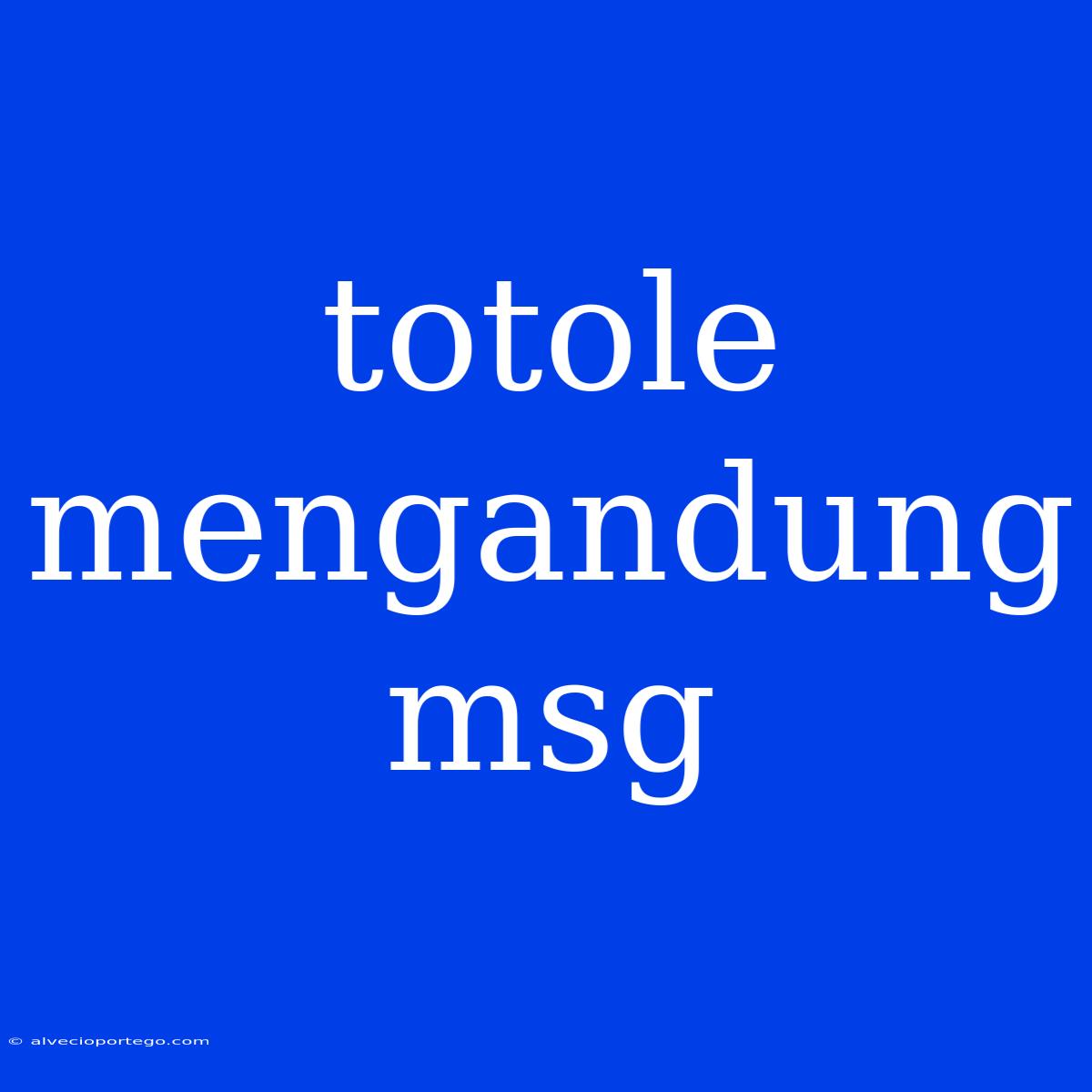 Totole Mengandung Msg