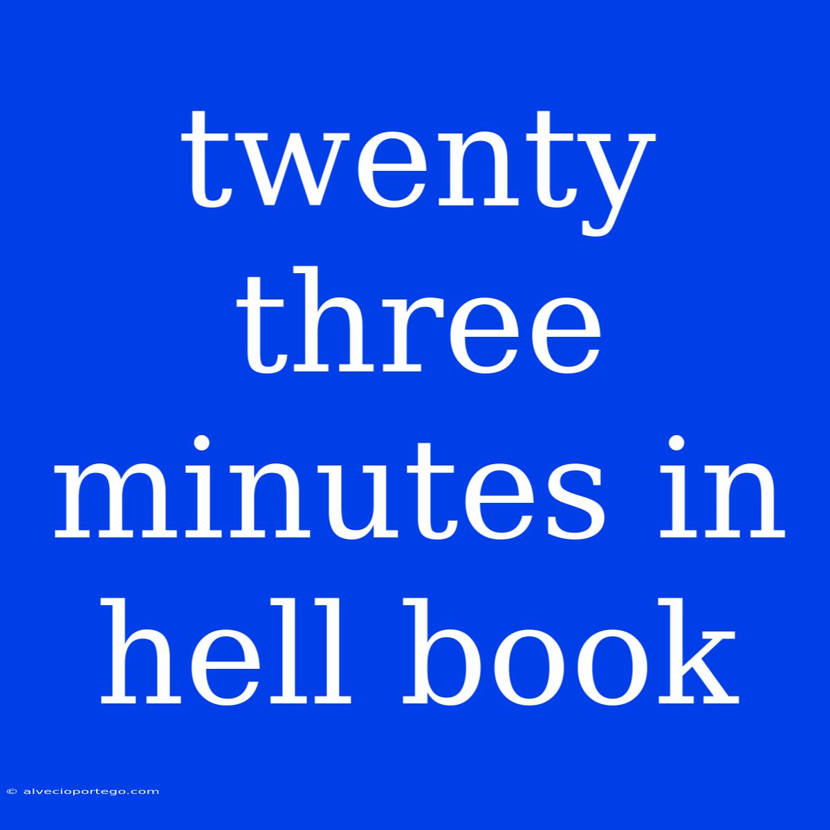 Twenty Three Minutes In Hell Book