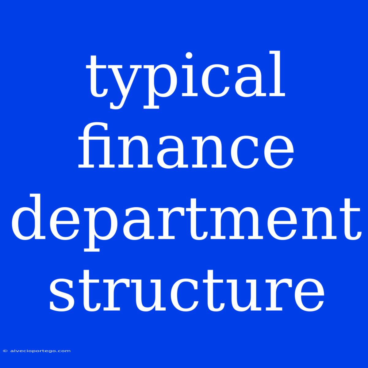 Typical Finance Department Structure