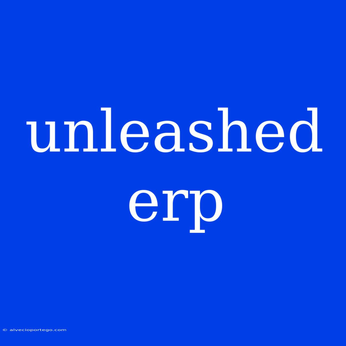 Unleashed Erp