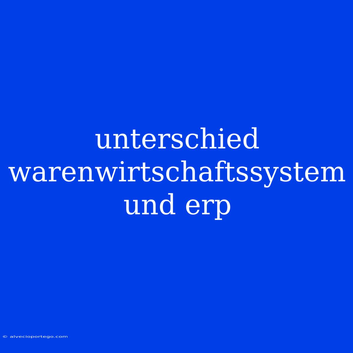 Unterschied Warenwirtschaftssystem Und Erp