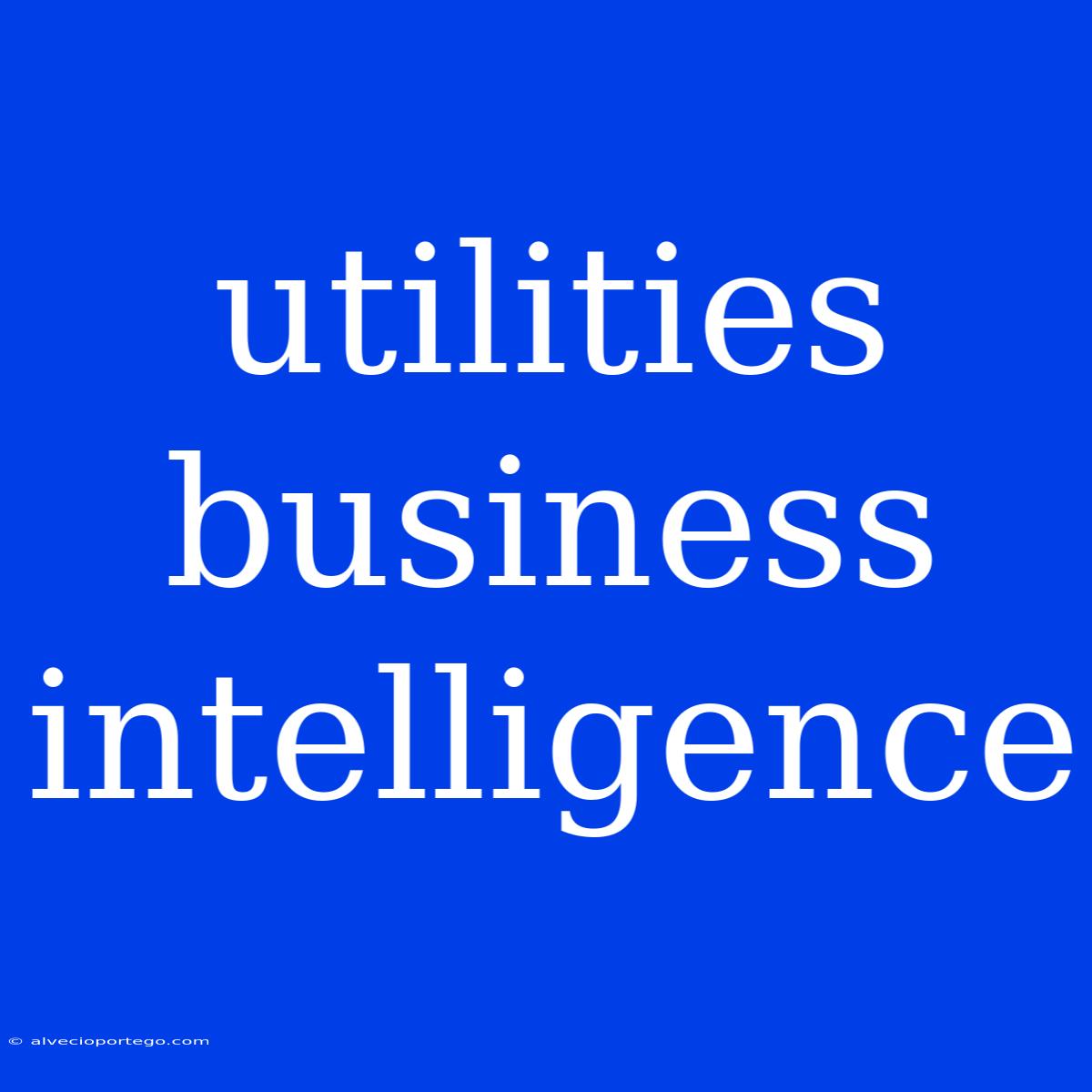 Utilities Business Intelligence