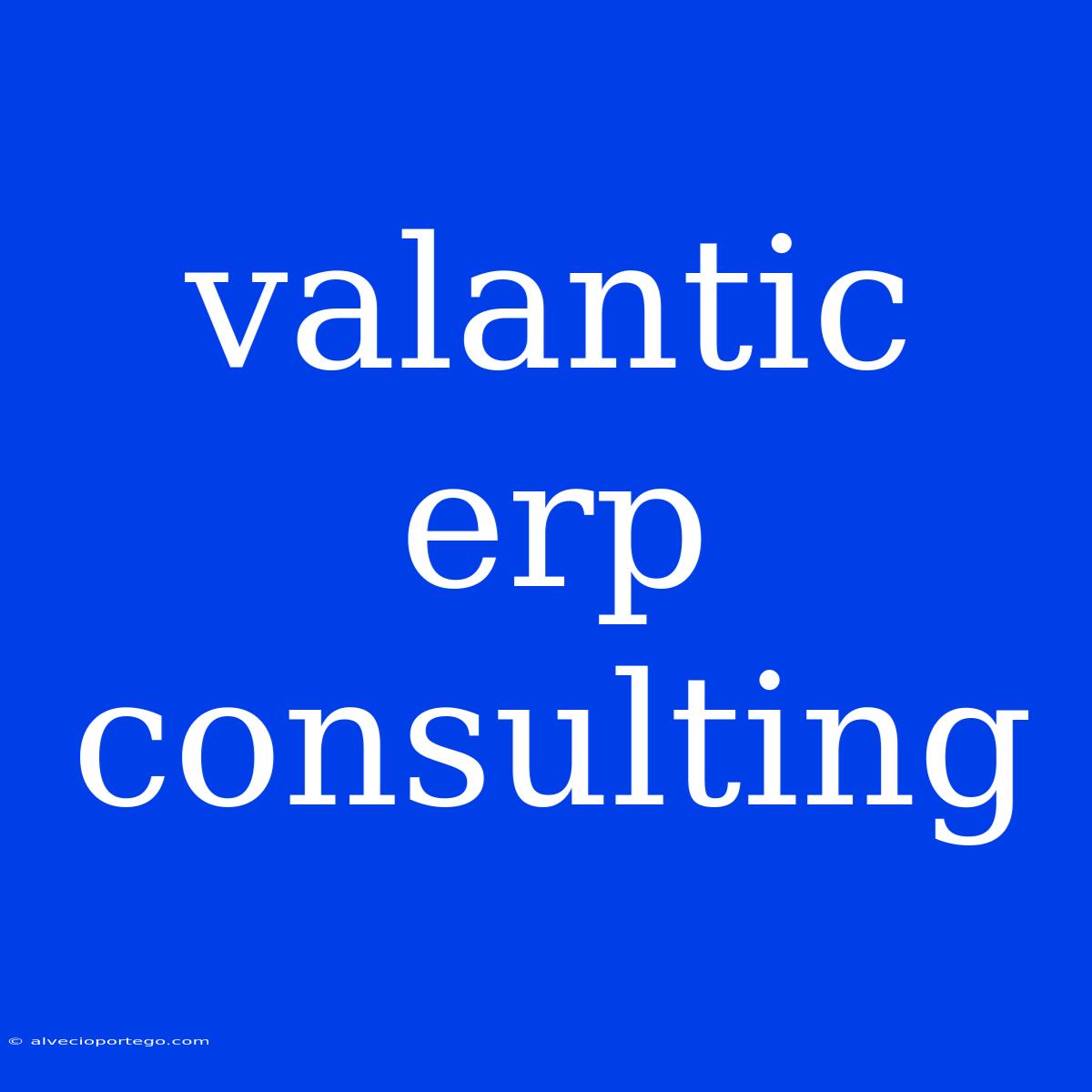 Valantic Erp Consulting