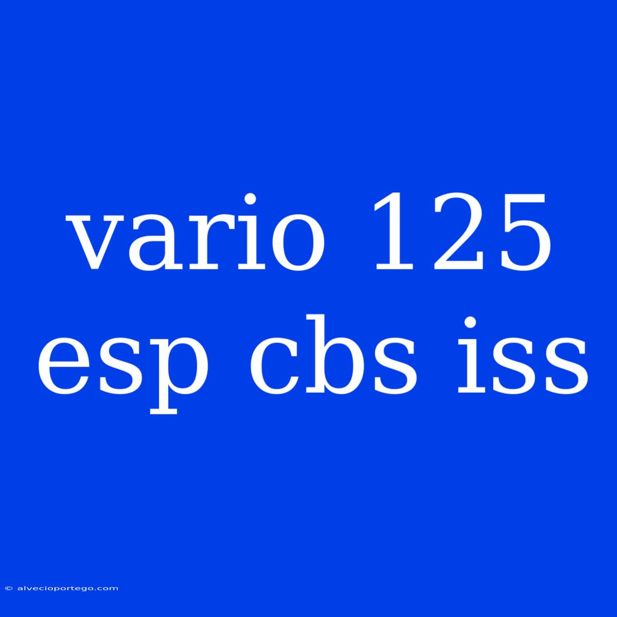 Vario 125 Esp Cbs Iss