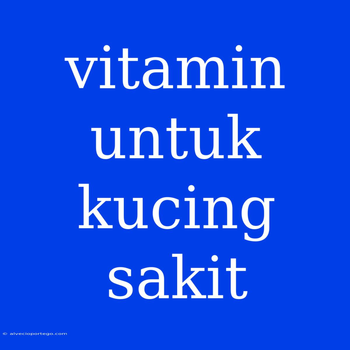 Vitamin Untuk Kucing Sakit