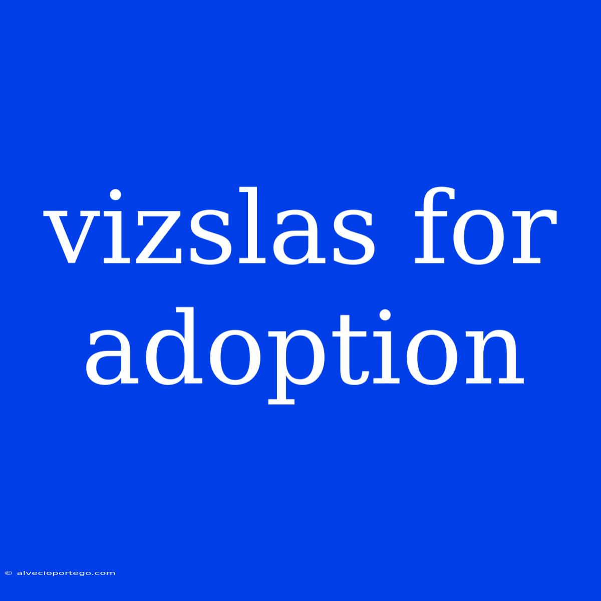 Vizslas For Adoption