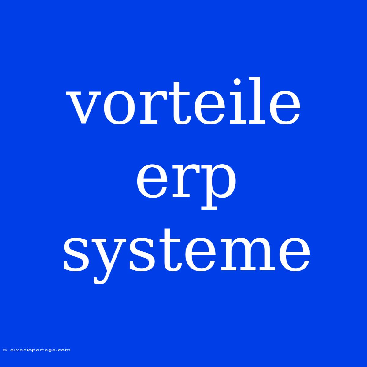 Vorteile Erp Systeme