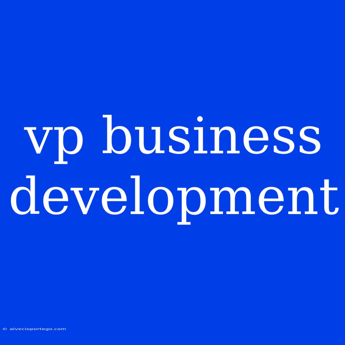 Vp Business Development