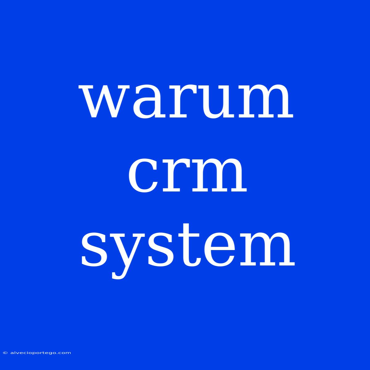 Warum Crm System