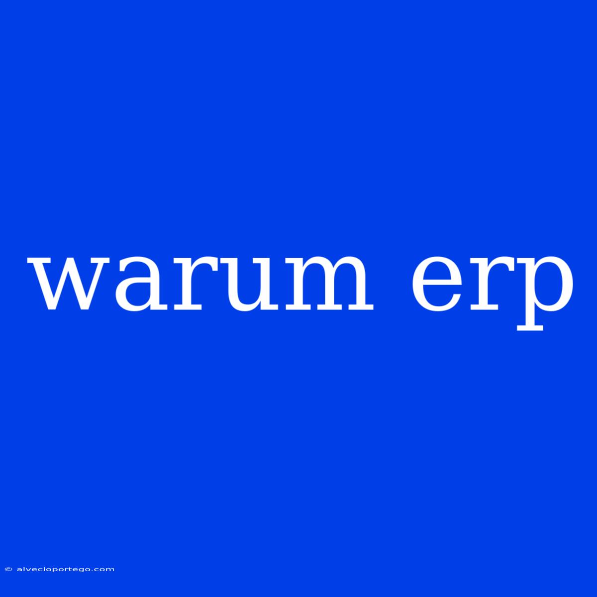 Warum Erp