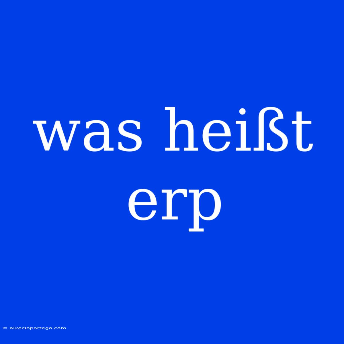 Was Heißt Erp