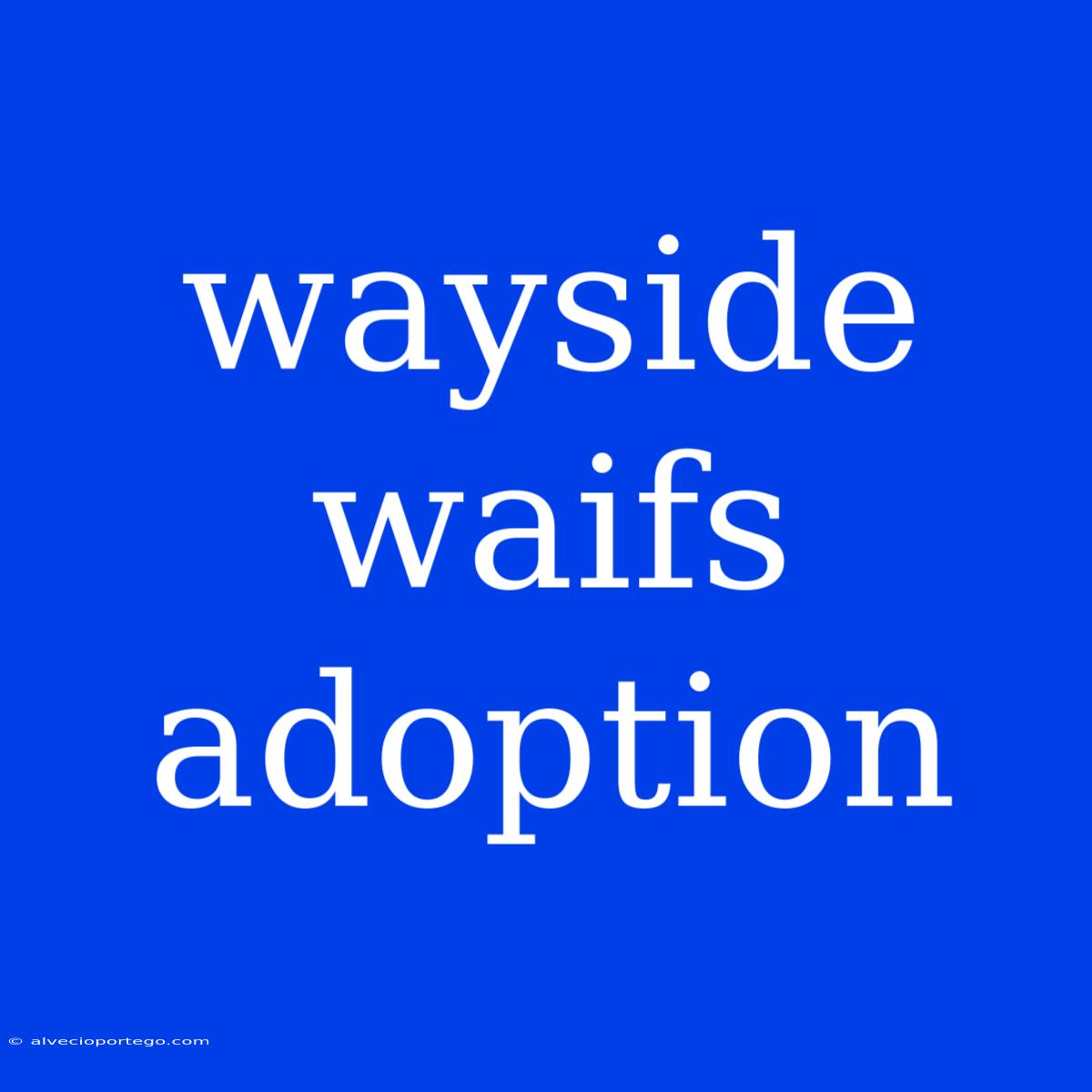 Wayside Waifs Adoption