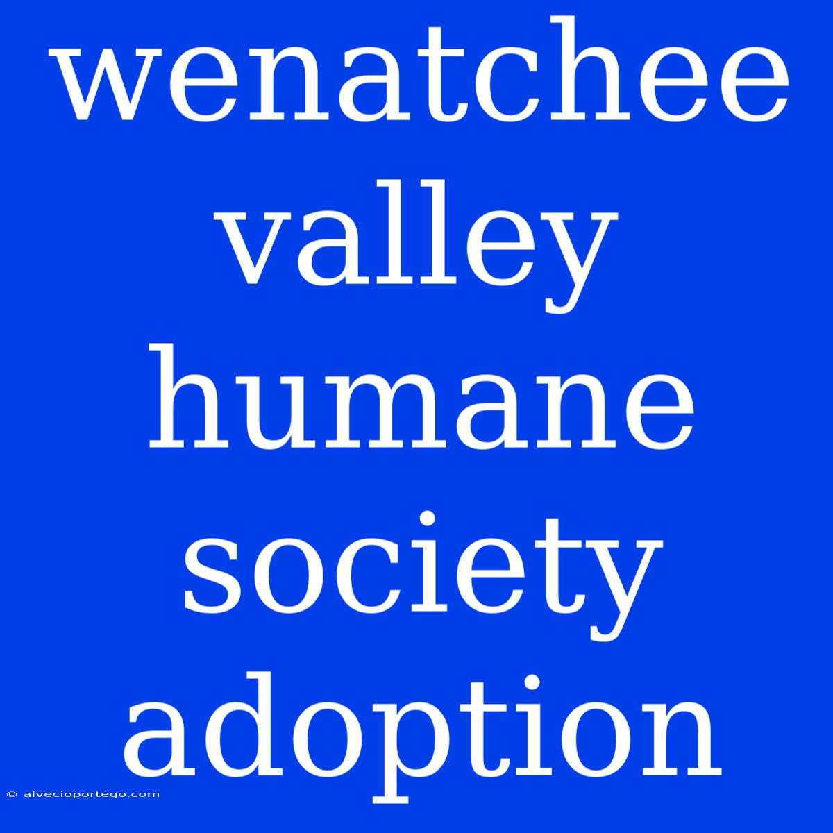 Wenatchee Valley Humane Society Adoption