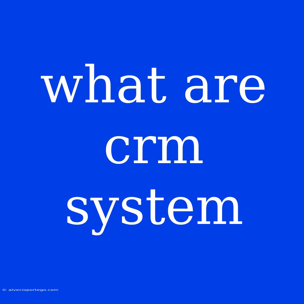 What Are Crm System