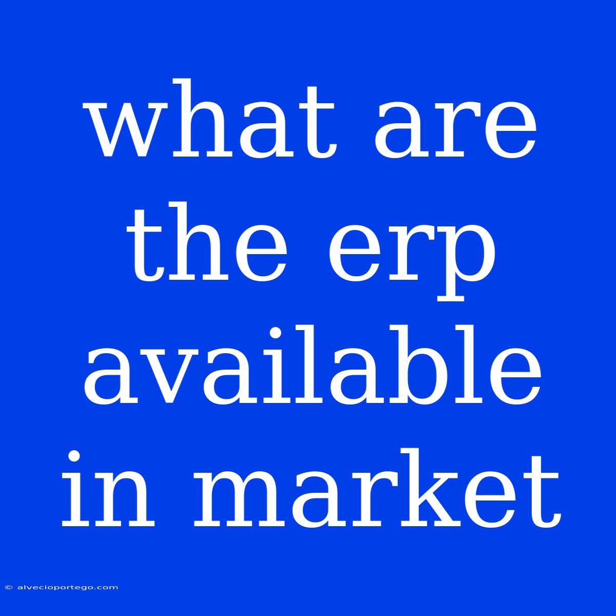 What Are The Erp Available In Market