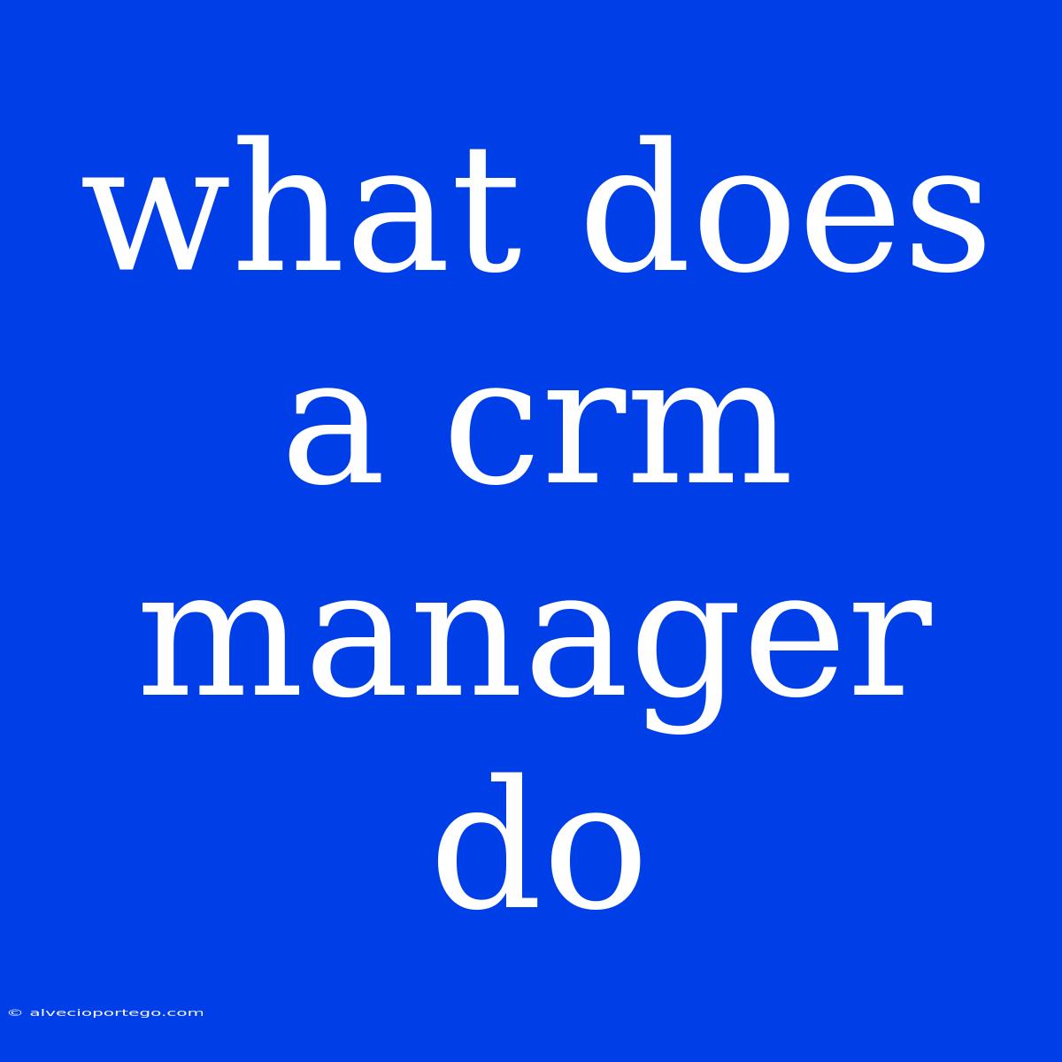 What Does A Crm Manager Do