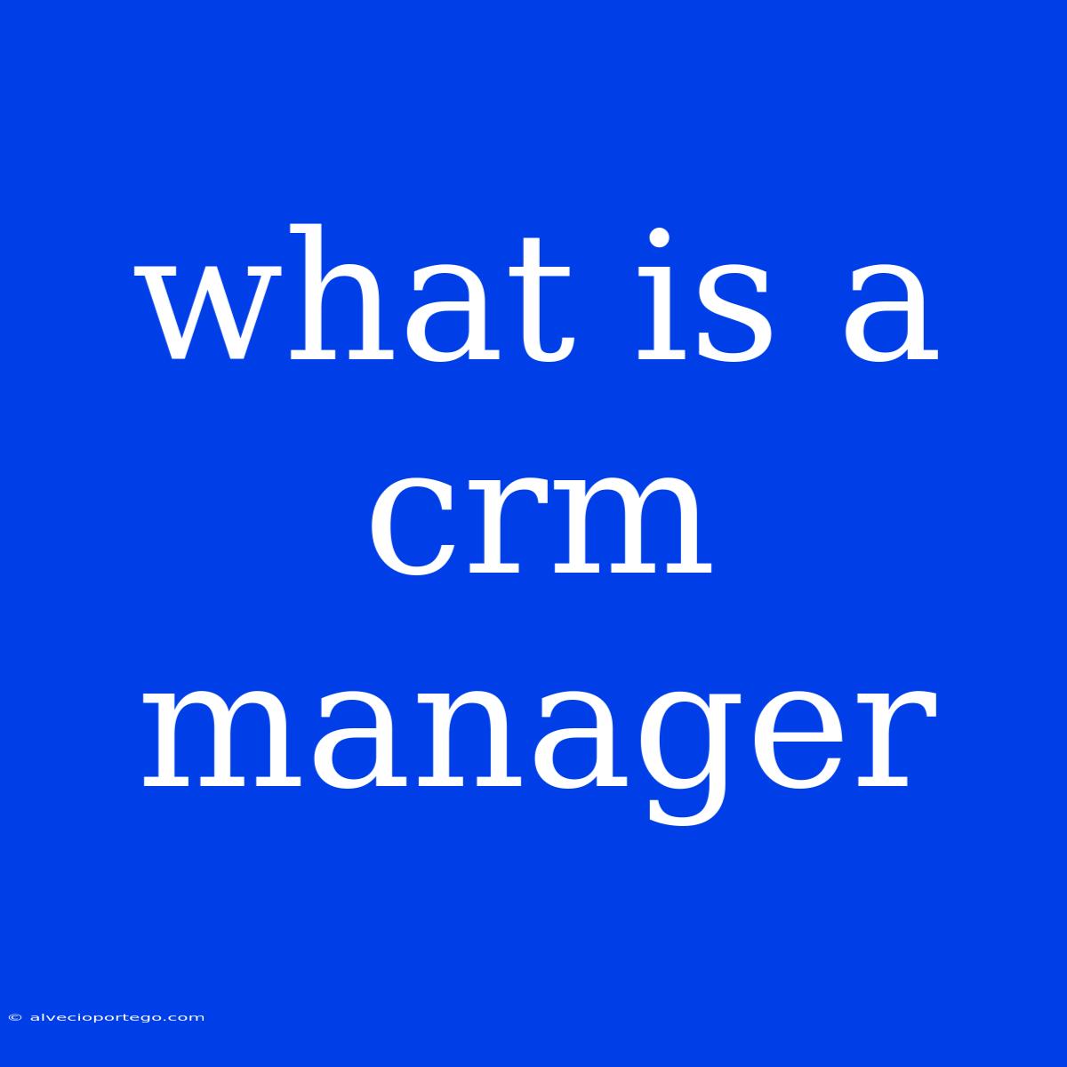 What Is A Crm Manager