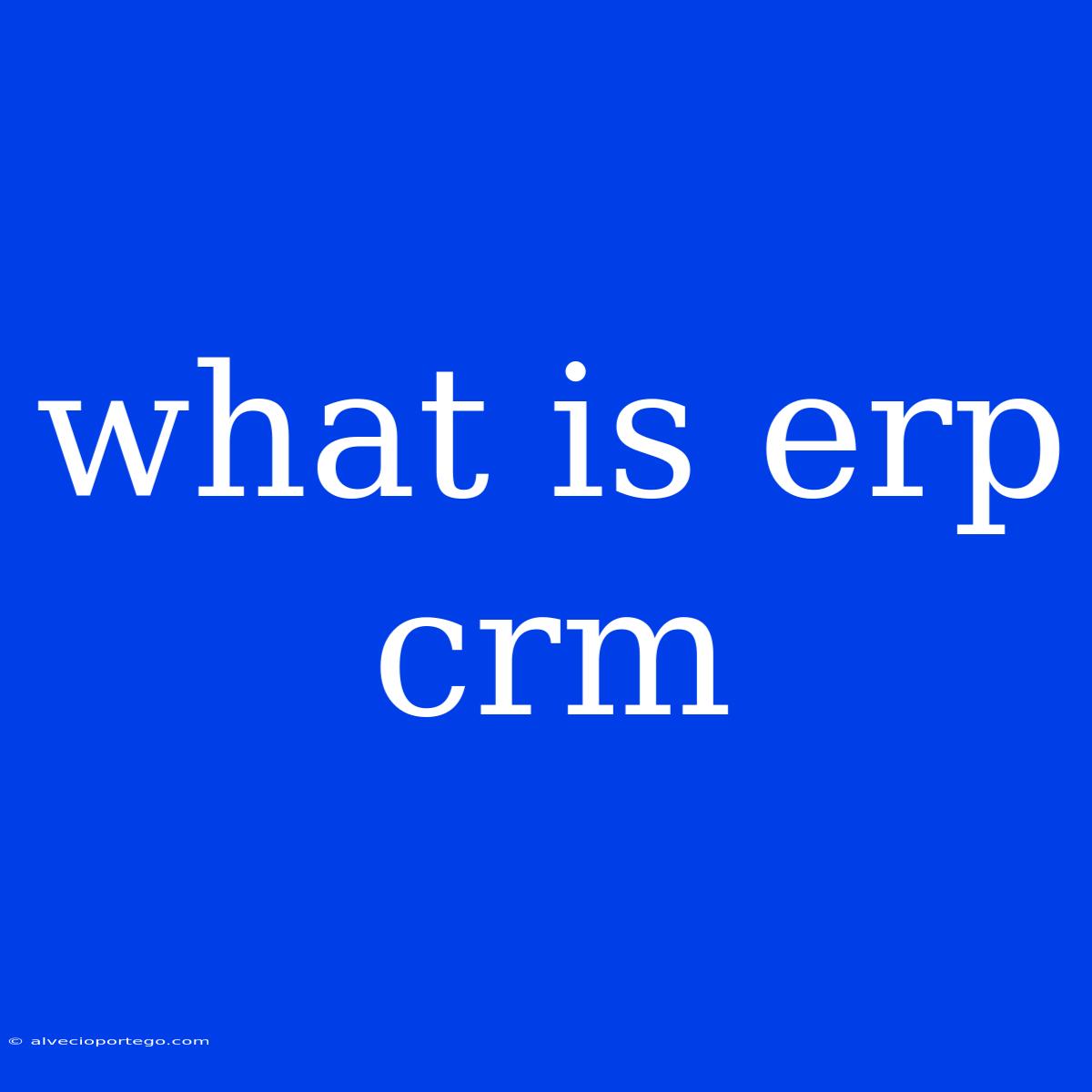 What Is Erp Crm