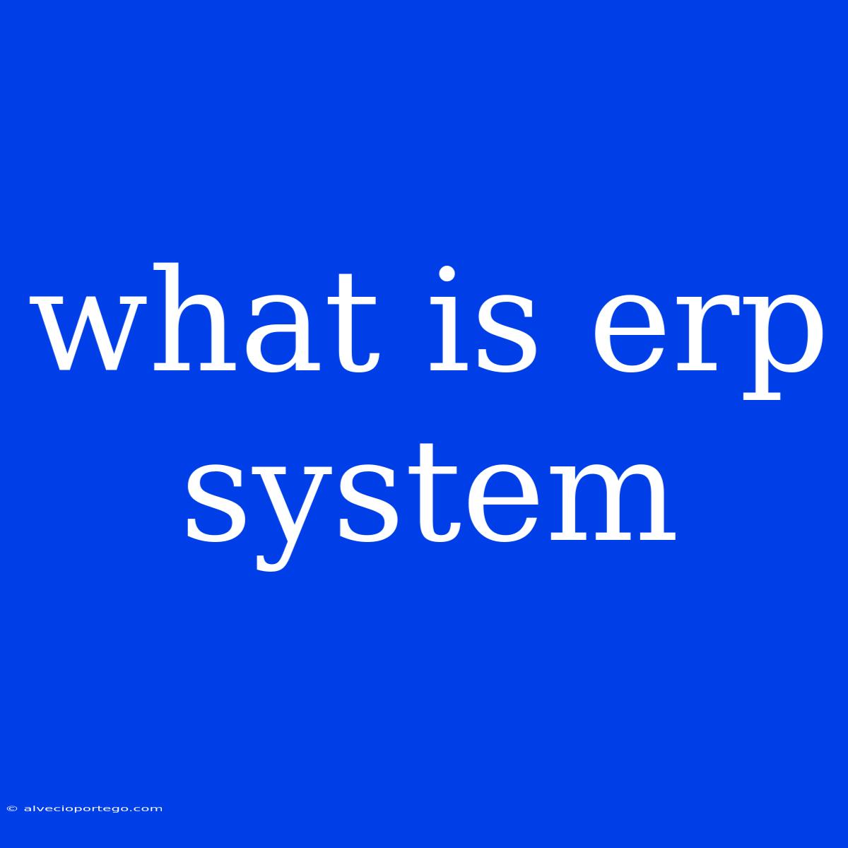 What Is Erp System