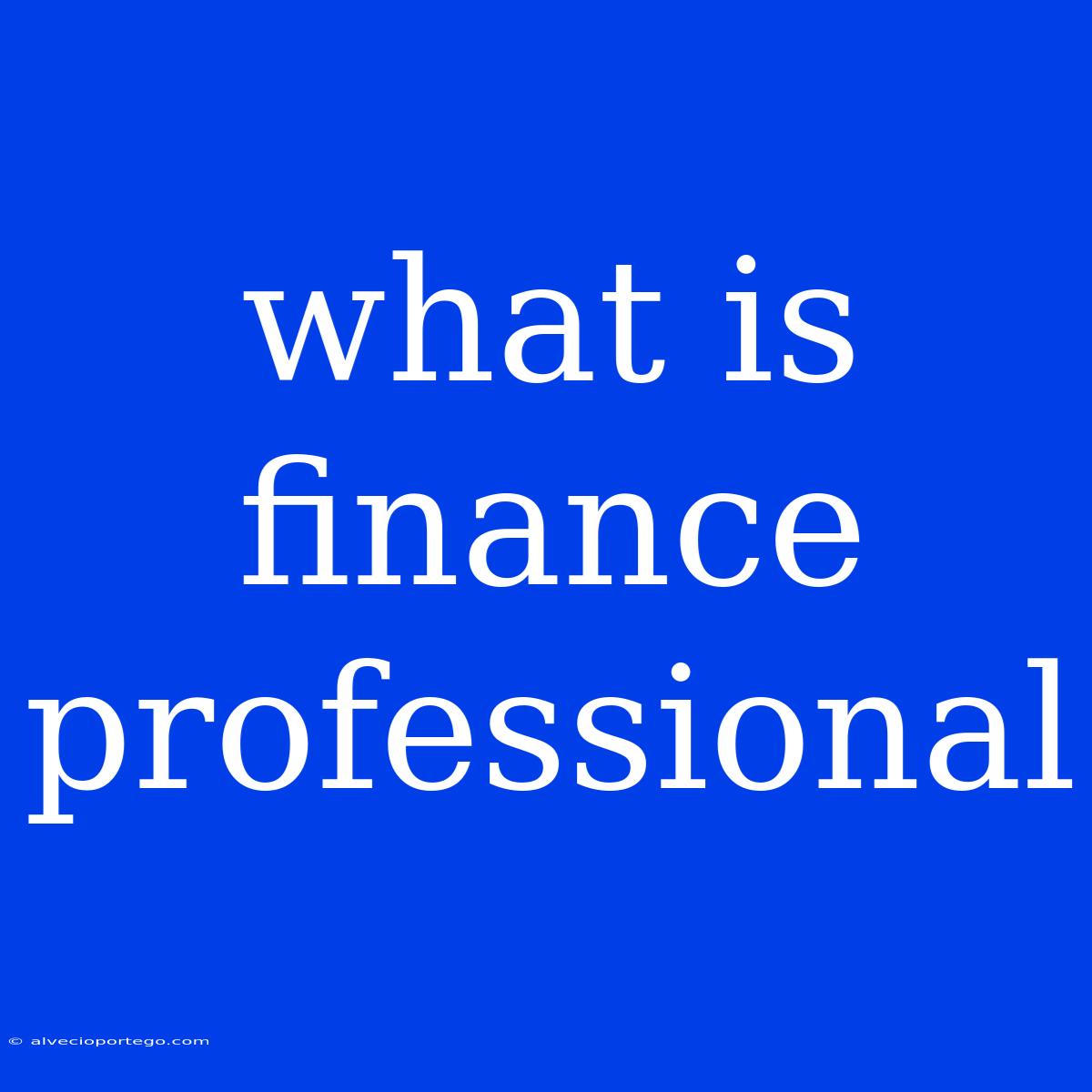 What Is Finance Professional