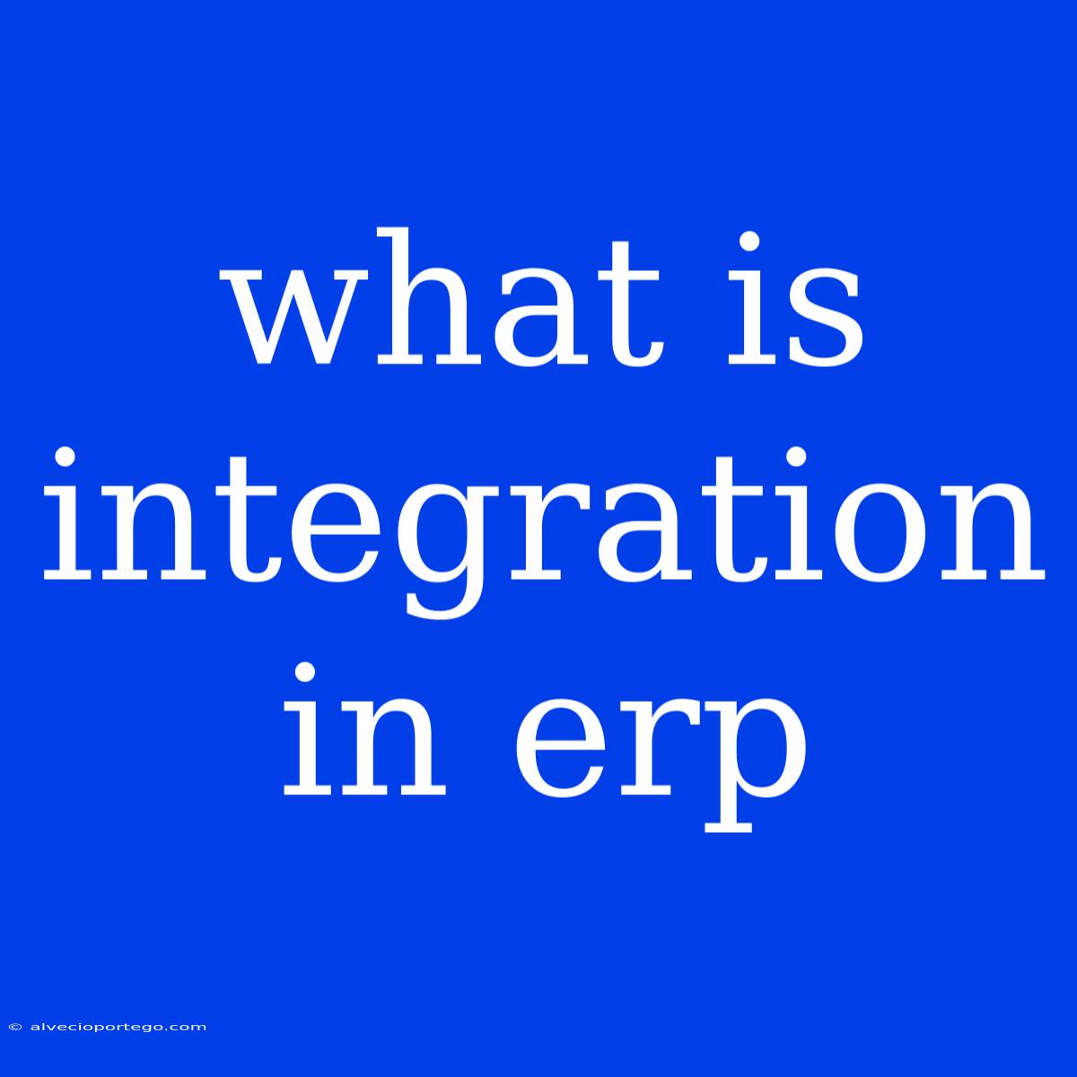 What Is Integration In Erp